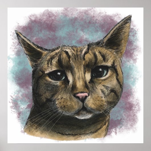 Close Up Tabby Cat Realistic Drawing Poster (Voorkant)