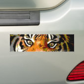 Close-up Tiger Eyes Auto Bumpersticker (Op auto)