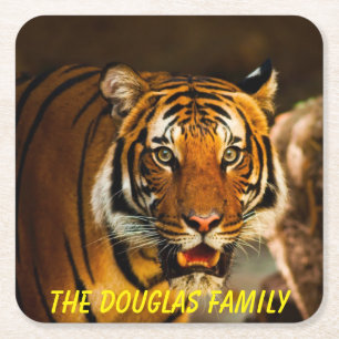 Close-up Tiger Kartonnen Onderzetters