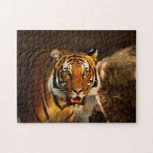 Close-up Tiger Legpuzzel