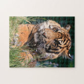 Close-up Tiger Legpuzzel (Horizontaal)