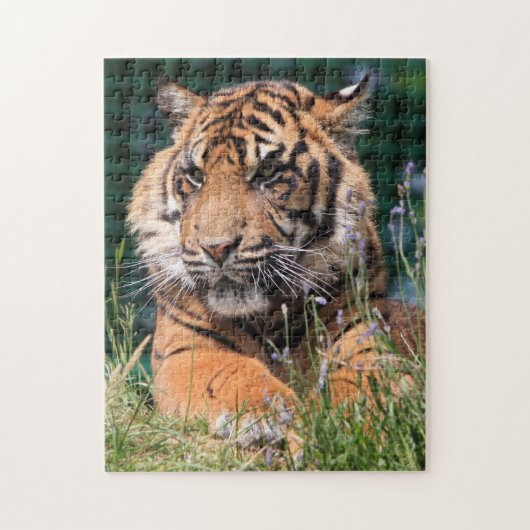 Close-up Tiger Legpuzzel (Verticaal)