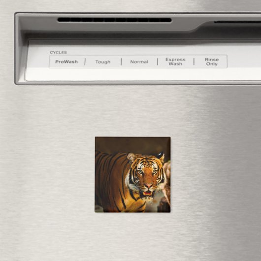 Close-up Tiger Magneet (Insitu (Vaatwasser))