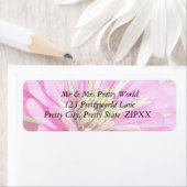 Close-up uitzicht van een delicate roze zinnia etiket (Insitu)