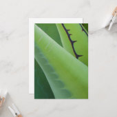 Close-up van Agave Kaart (Voorkant / Achterkant in situ)