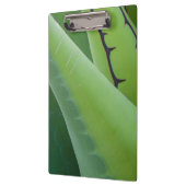 Close-up van Agave Klembord (Links)