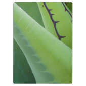 Close-up van Agave Klembord (Achterkant)