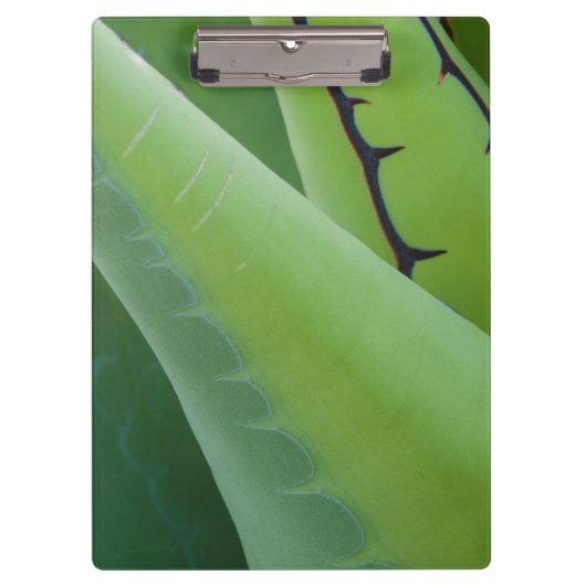 Close-up van Agave Klembord (Voorkant)
