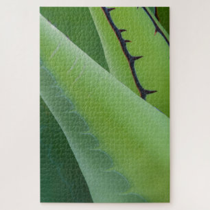Close-up van Agave Legpuzzel