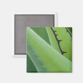 Close-up van Agave Magneet (Voorkant / Achterkant)