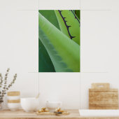 Close-up van Agave Poster (Keuken)