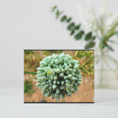 Close-up van Allium, wilde ui bloesem Briefkaart (Staand voorkant)
