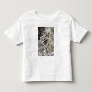 Close-up van bevroren pijnboomkegel, Yellowstone Kinder Shirts