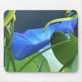 Close-up van blauwe ochtendglorie in een kelk muismat