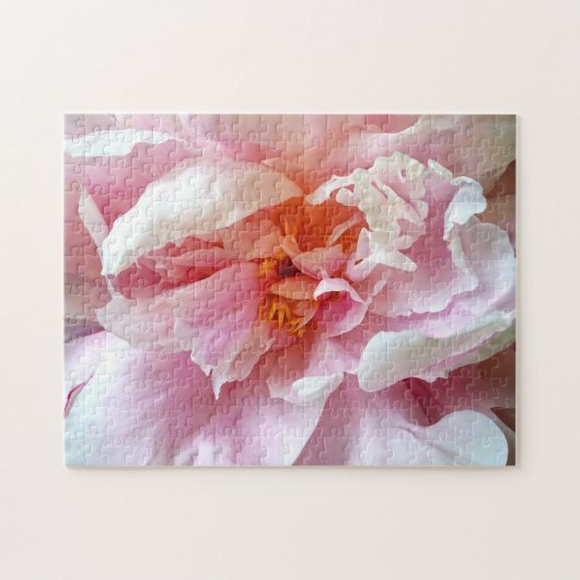 Close-up van Bleke roze pioenen Legpuzzel (Horizontaal)