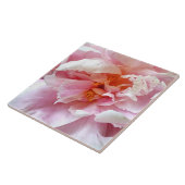 Close-up van Bleke roze pioenen Tegeltje (Zijkant)