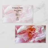 Close-up van Bleke roze pioenen Visitekaartje (Voorkant / Achterkant)