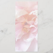 Close-up van bleke roze pioenrozen menu (Achterkant)