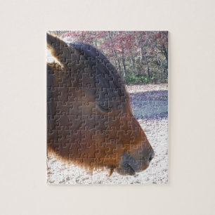 Close-up van bruin paard, Klein bruin pony Legpuzzel