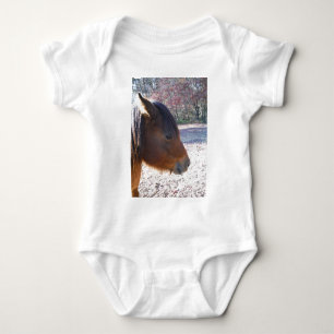 Close-up van bruin paard, Klein bruin pony Romper