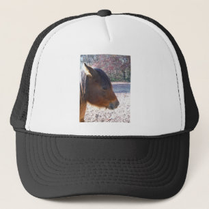 Close-up van bruin paard, Klein bruin pony Trucker Pet
