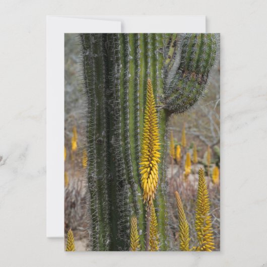 Close-up van cactus en agave bedankkaart (Voorkant)