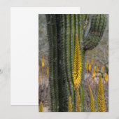 Close-up van cactus en agave bedankkaart (Voorkant / Achterkant)