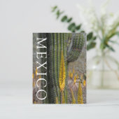 Close-up van cactus en agave briefkaart (Staand voorkant)