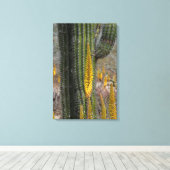 Close-up van cactus en agave canvas afdruk (Insitu (Houten vloer))