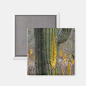 Close-up van cactus en agave magneet (Voorkant / Achterkant)