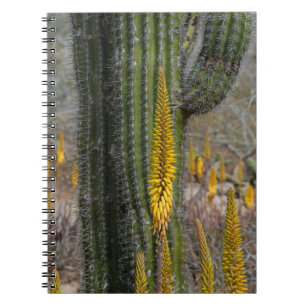 Close-up van cactus en agave notitieboek