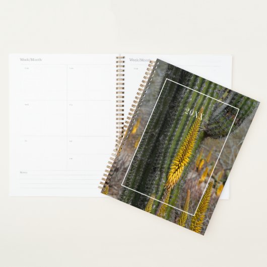 Close-up van cactus en agave planner (Display)