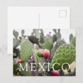 Close-up van cactusvijg briefkaart (Voorkant / Achterkant)