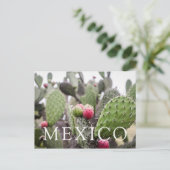 Close-up van cactusvijg briefkaart (Staand voorkant)