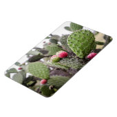 Close-up van cactusvijg magneet (Linkerzijde)