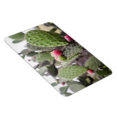 Close-up van cactusvijg magneet (Rechterzijde)