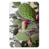 Close-up van cactusvijg magneet (Verticaal)