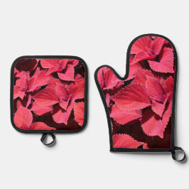 Close-up van coleus ovenwant & pannenlap set