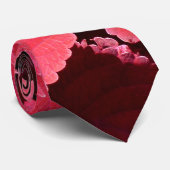 Close-up van coleus stropdas (Opgerold)