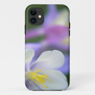 Close-up van Colorado Columbine bloem. iPhone 11 Hoesje