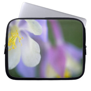 Close-up van Colorado Columbine bloem. Laptop Sleeve