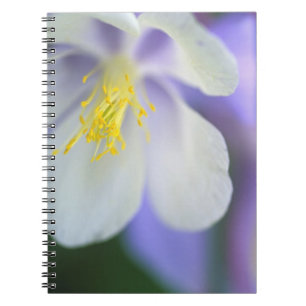 Close-up van Colorado Columbine bloem. Notitieboek