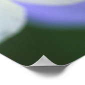 Close-up van Colorado Columbine bloem. Poster (Hoek)