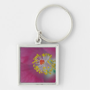 Close-up van de meeldraden van de hibiscusbloem, H Sleutelhanger