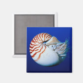 Close-up van de Nautilus Magneet (Voorkant / Achterkant)