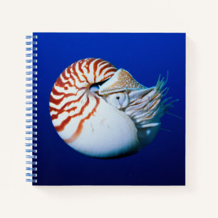 Close-up van de Nautilus Notitieboek
