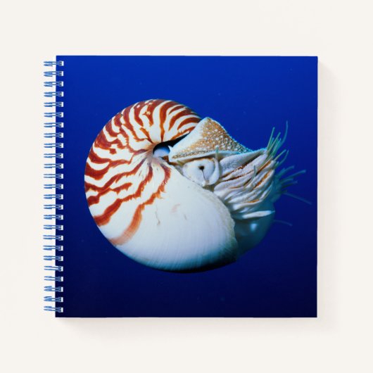 Close-up van de Nautilus Notitieboek (Voorkant)