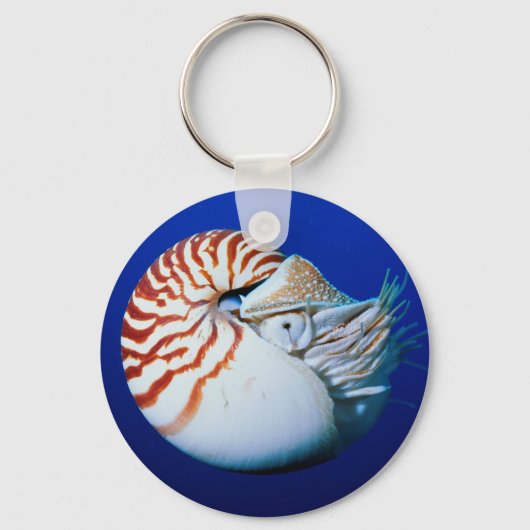 Close-up van de Nautilus Sleutelhanger (Voorkant)
