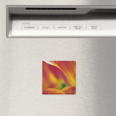 Close-up van de onderkant van tulp bloem, 4 magneet (Insitu (Vaatwasser))