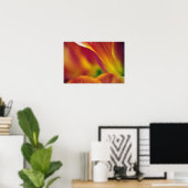 Close-up van de onderkant van tulp bloem, 4 poster (Thuiskantoor)